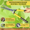 Вид 7